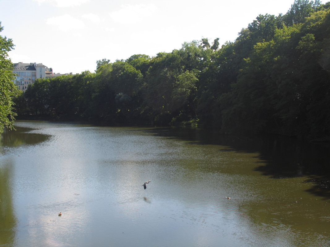 21 Июля 2024 035