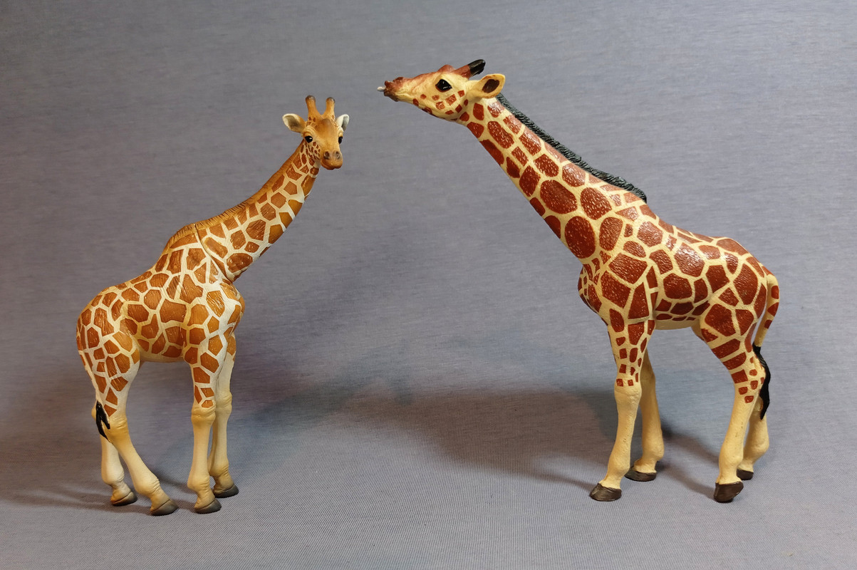 Eikoh - Animal Infinity - Giraffe IMG-20210306-075754