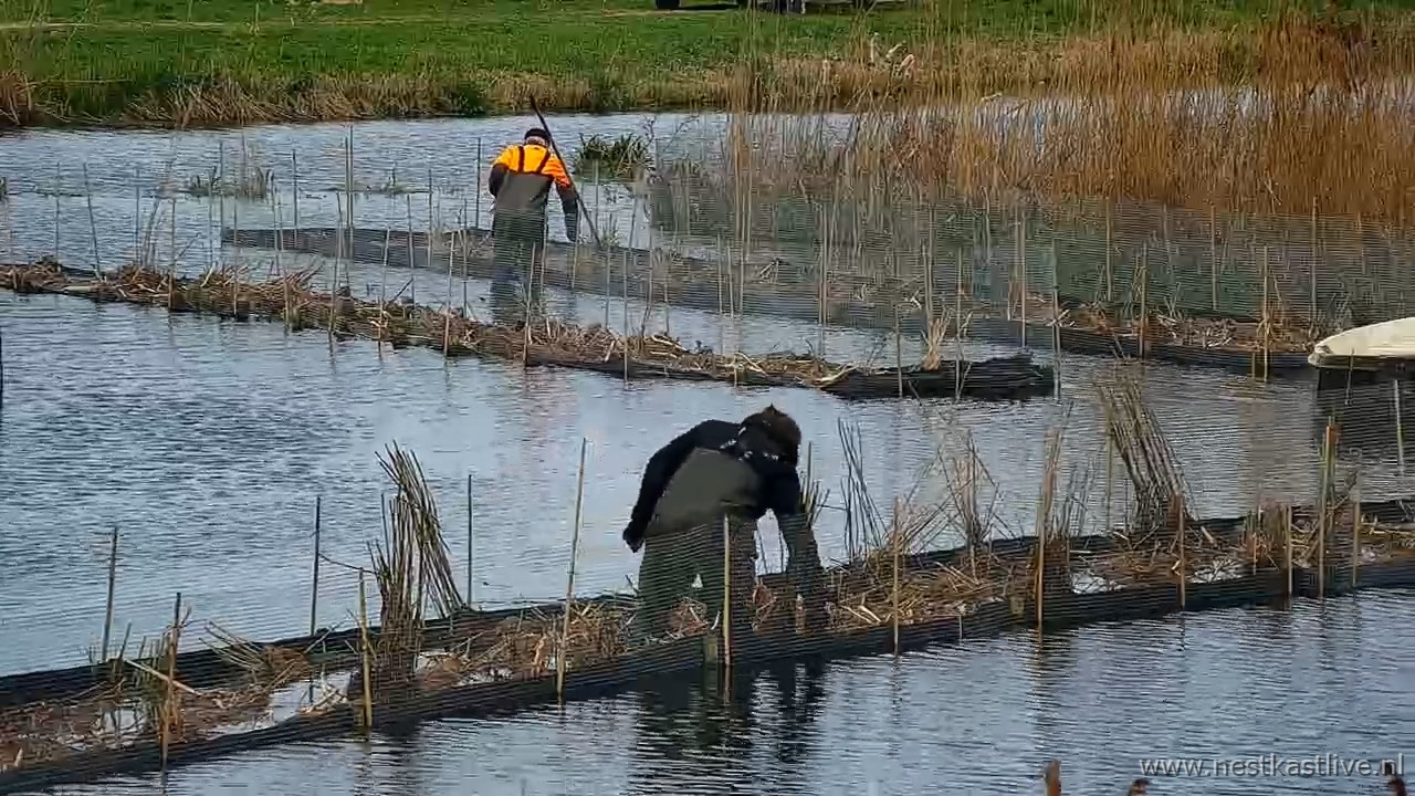 snapshot 2026 03 31T124227 954