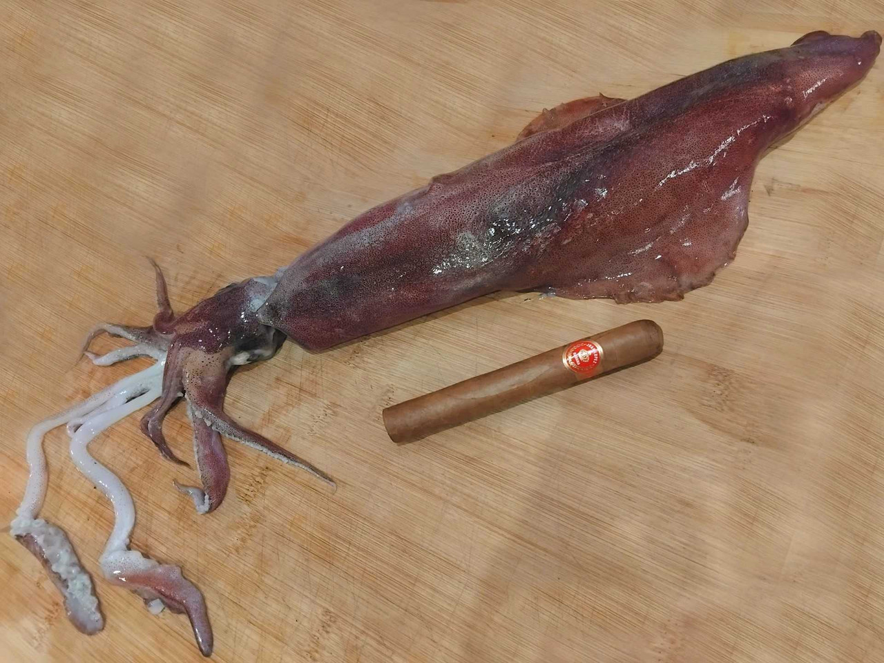 καλαμάρι χουάν 2