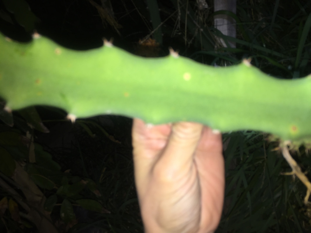 367ACE42-4240-4FA3-B5C8-A12FDB1D447D