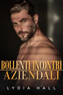 Lydia Hall - Segreti d'ufficio. Bollenti Incontri Aziendali (2024)