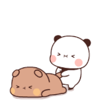 IMG-6907.gif