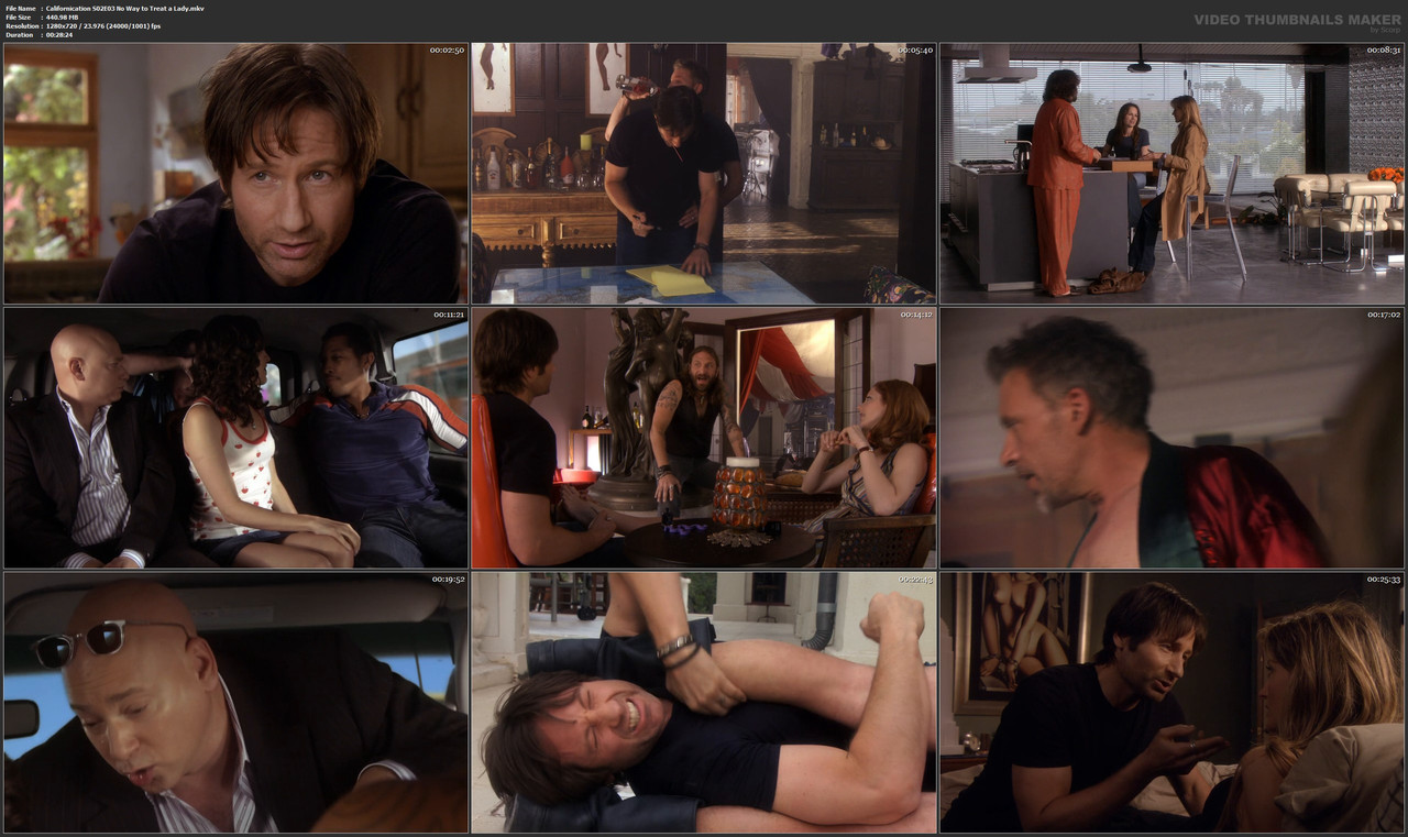 Californication S02E03 No Way to Treat a Lady.mkv