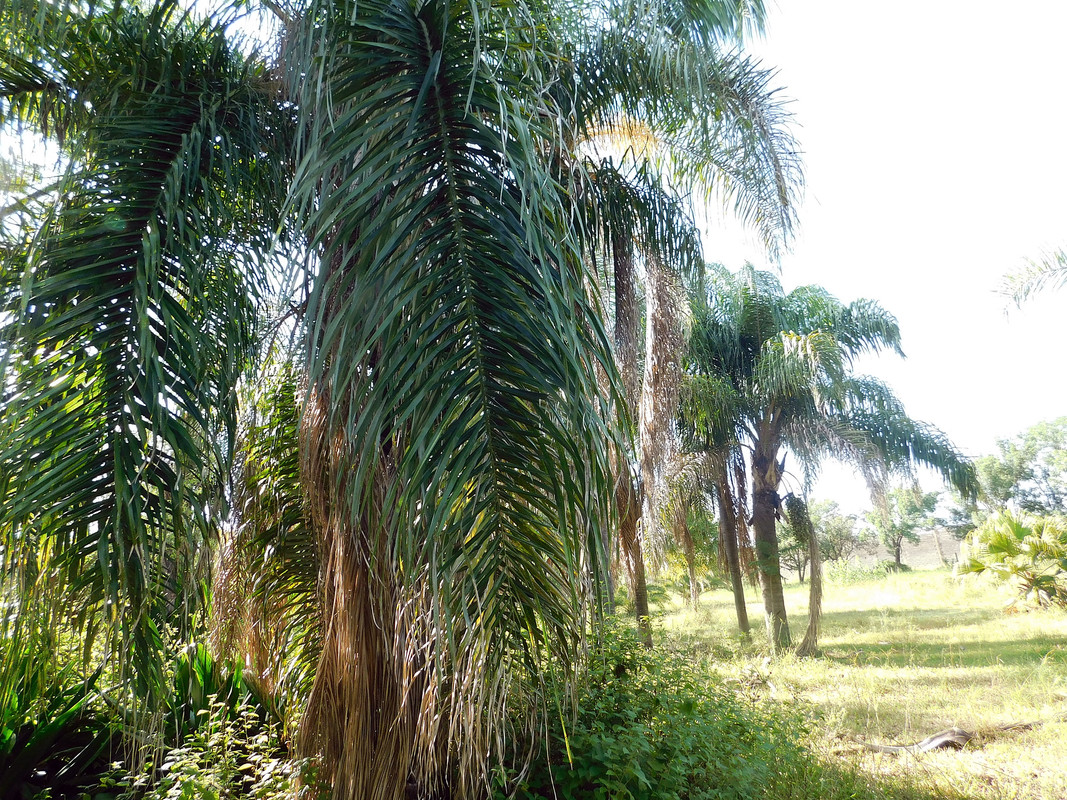 DSCN0322.jpg