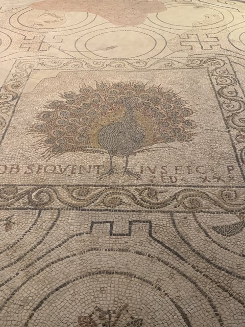 Florencia: Conjunto monumental y artístico inabarcable (continuación) - Perugia y Florencia en mayo de 2024 (4)