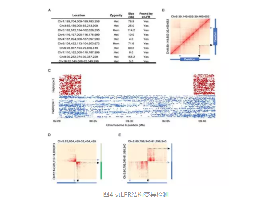 长分子DNA研究新方法stLFR展示出巨大潜力_5