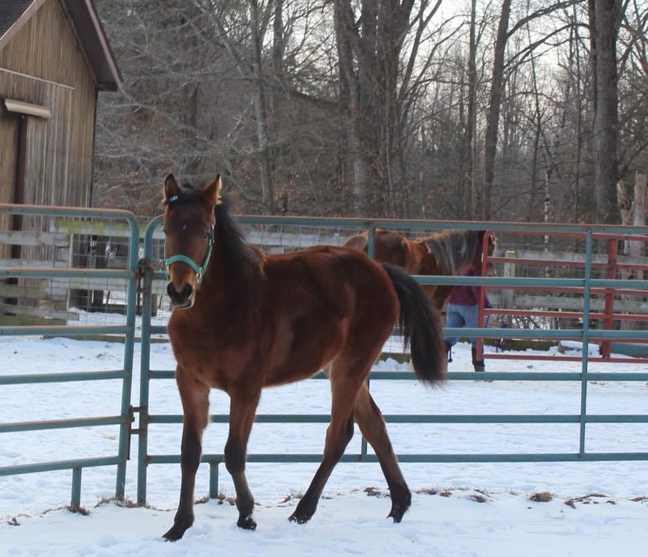 D29E9539-26FC-4DB0-B56A-3C595248006F