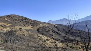 Γ. ΣΠΙΛΑΝΗΣ: ΠΡΟΤΑΣΗ ΓΙΑ ΕΝΑ ΣΧΕΔΙΟ ΔΡΑΣΗΣ  ΓΙΑ ΤΗΝ ΑΝΑΤΑΞΗ ΤΗΣ ΑΜΑΝΗΣ 