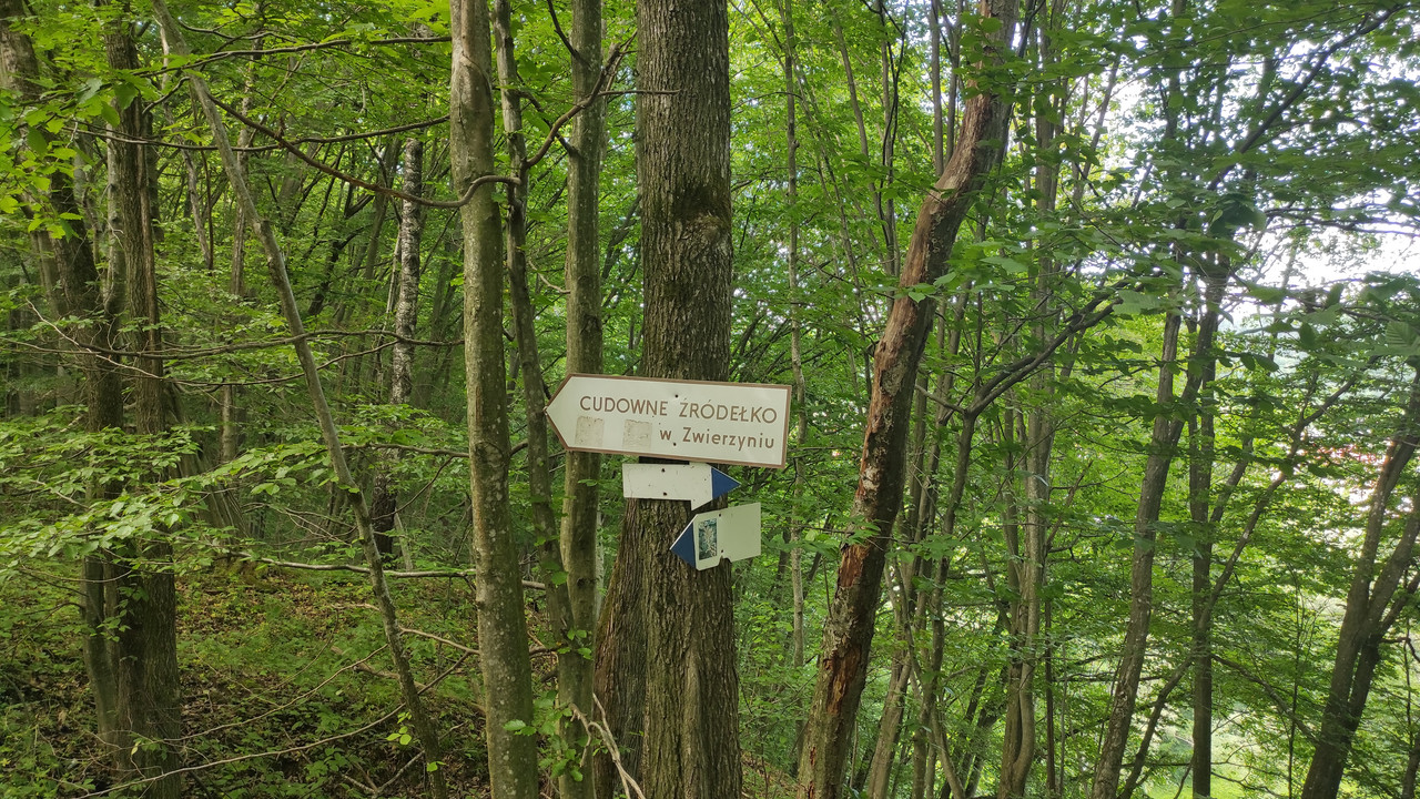 01.02 - IMG_20220615_153850 (Czesio1)