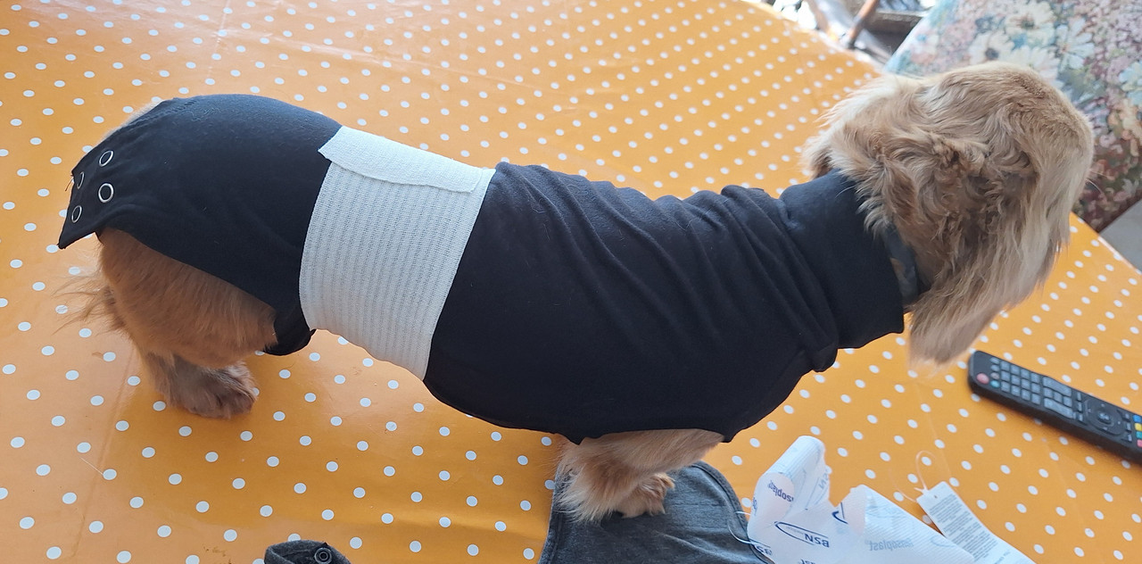 [Image: 20240316-103945.jpg]