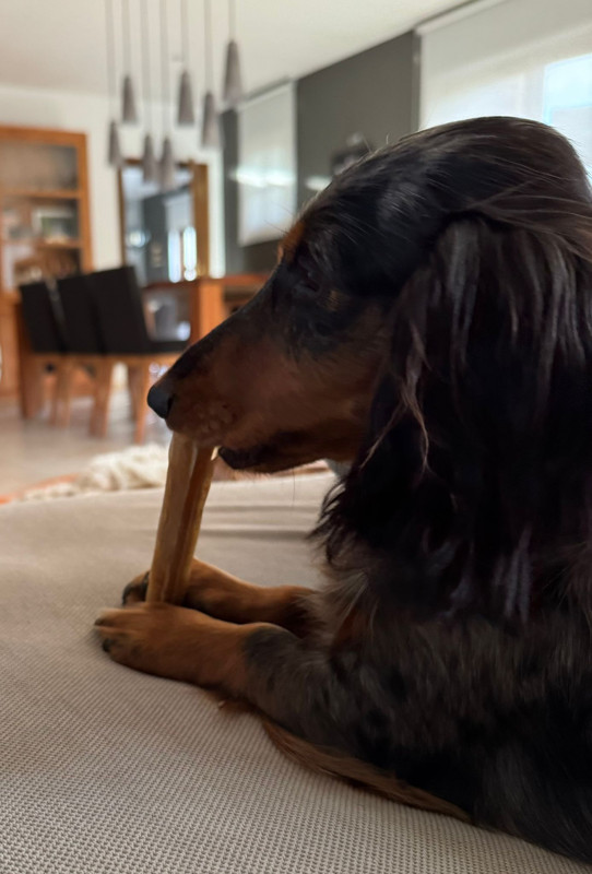 [Image: IMG-20251006-WA0010.jpg]