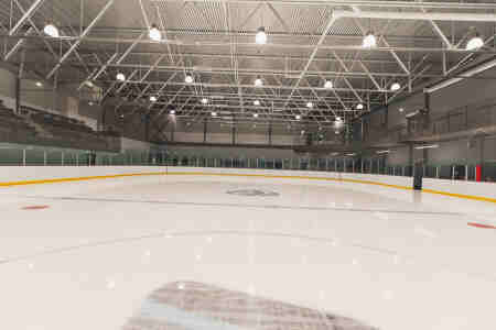 The-Rink-inside-450x300.jpg