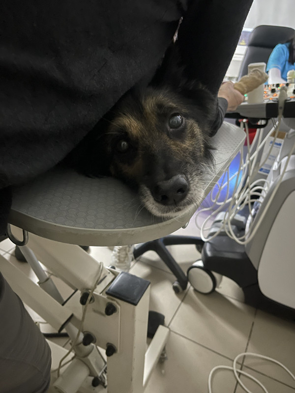 35BF6DEF-4F28-46B4-A2A5-D6E92DB23674