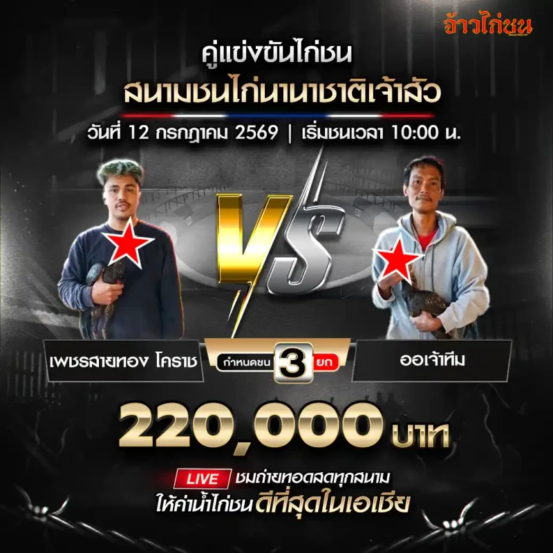 คู่ที่ 8 เพชรสายทอง โคราช พบ ออเจ้าทีม สนามชนไก่นานาชาติเจ้าสัว วันที่ 12 กรกฎาคม 2569