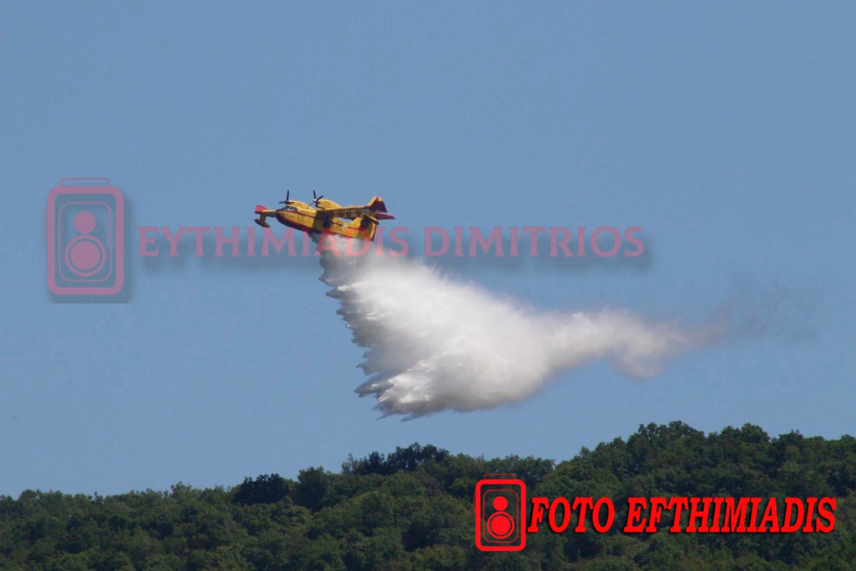 499155687-1453516235628533-7621084797979335369-n