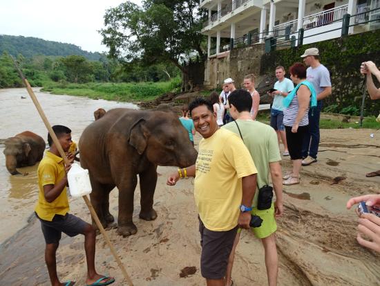 1Dhotel-elephant-park