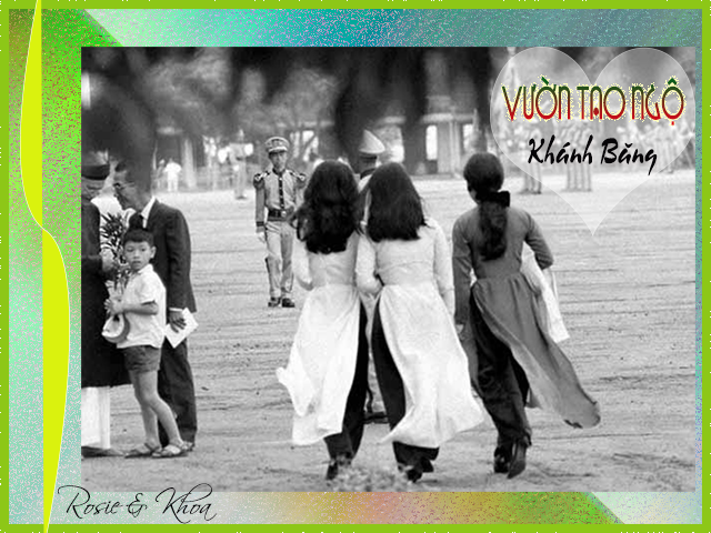 [Image: vuon-tao-ngo-banner.png]