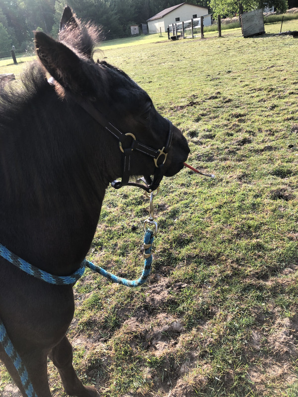 FD69A525-7961-4FA9-B044-2B9F71D2BF58