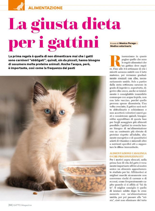 Ga Ma Dic 2024-Gen 2025 (9)