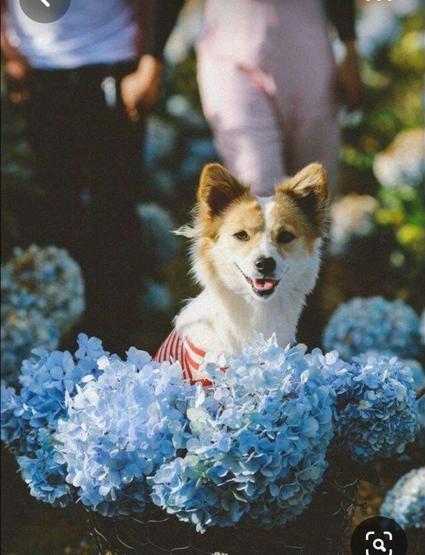 Screenshot_20230802_002543_Pinterest