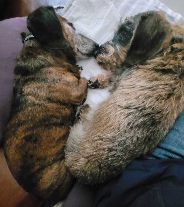 [Image: 448875756-1647199032742501-4894262080073792124-n.jpg]