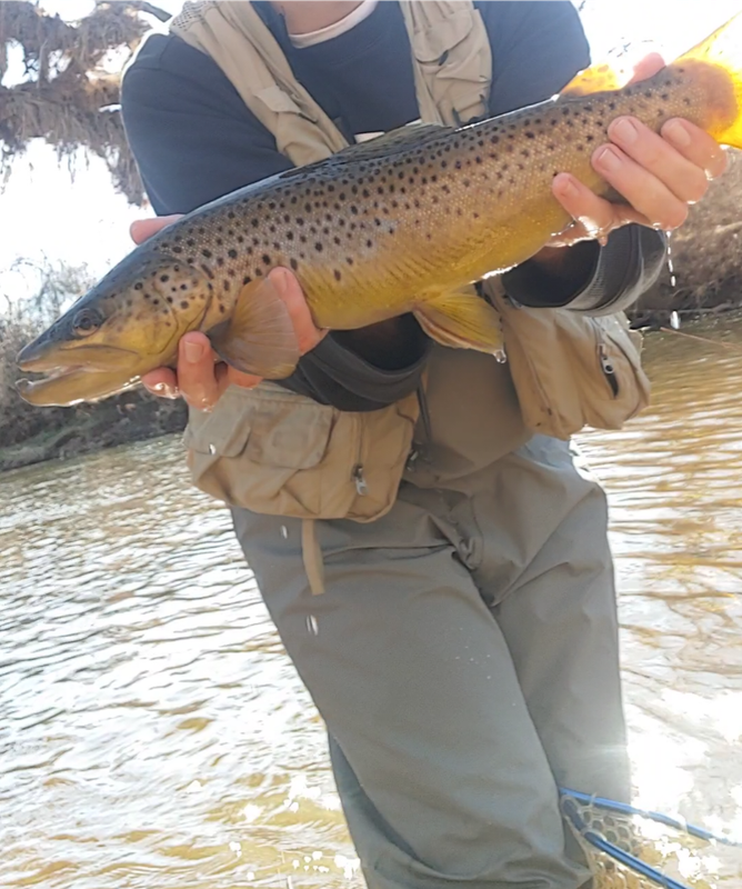 Screenshots_2024-02-04-12-01-49