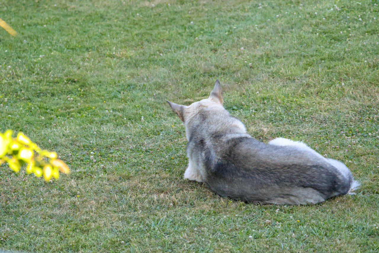 DSC05678