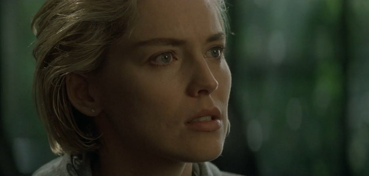 Sliver 1993 WebRip [Hindi + English] 480p, 720p ESub Screenshot