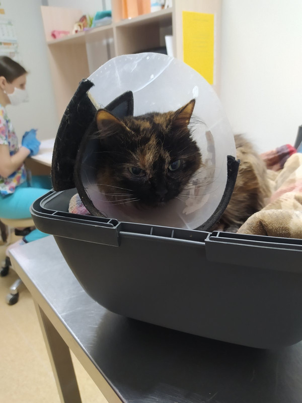 2C40C43F-5CF8-4E43-B160-4CF17135FA70