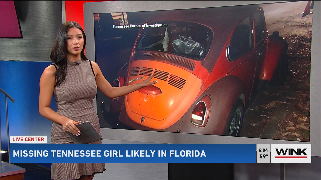 03.13 - 11.00.00 - WINK News @ 6 00am..ts_snapshot_00.04.43.096