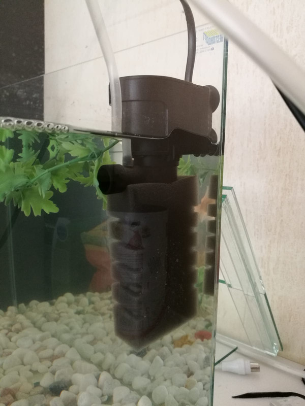 WhatsApp Image 2018-09-25 at 20.08.46(1)