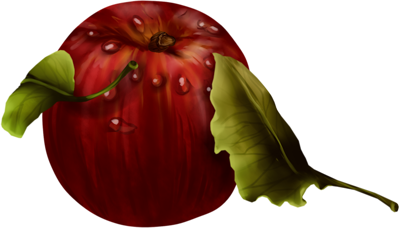 IPD_AH_Element (161)