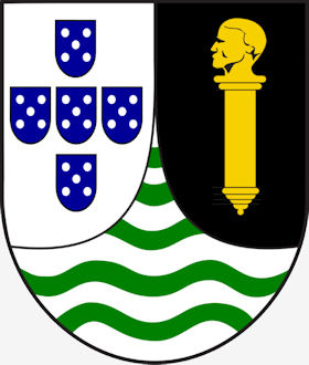 10-GUIN