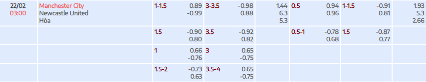 Tỷ lệ kèo Premier League Man City vs Newcastle