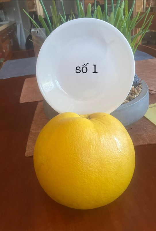 75859238907 2E6FA13B D284 4111 AD44 06B2FD50A752