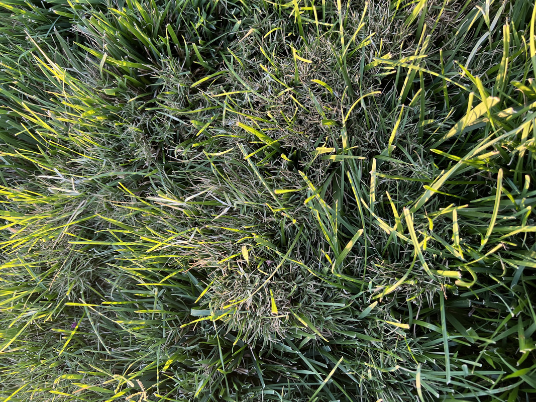 6EF93569-68BD-4527-8FC9-8A90C0C168BD