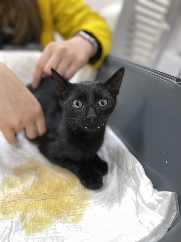 72411019-A0F1-49AF-8AA1-74A28C77A211