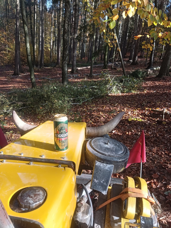 IMG_20221028_121534_1