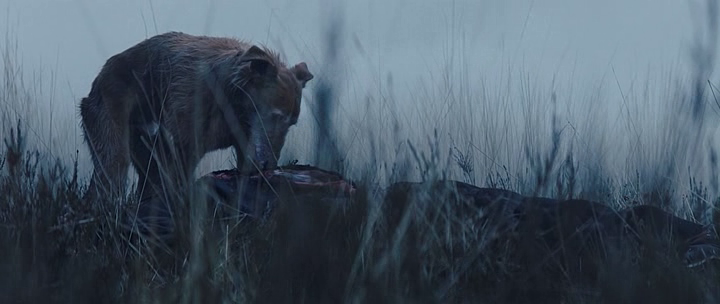 31137331_vlcsnap-2016-01-19-15h18m33s982