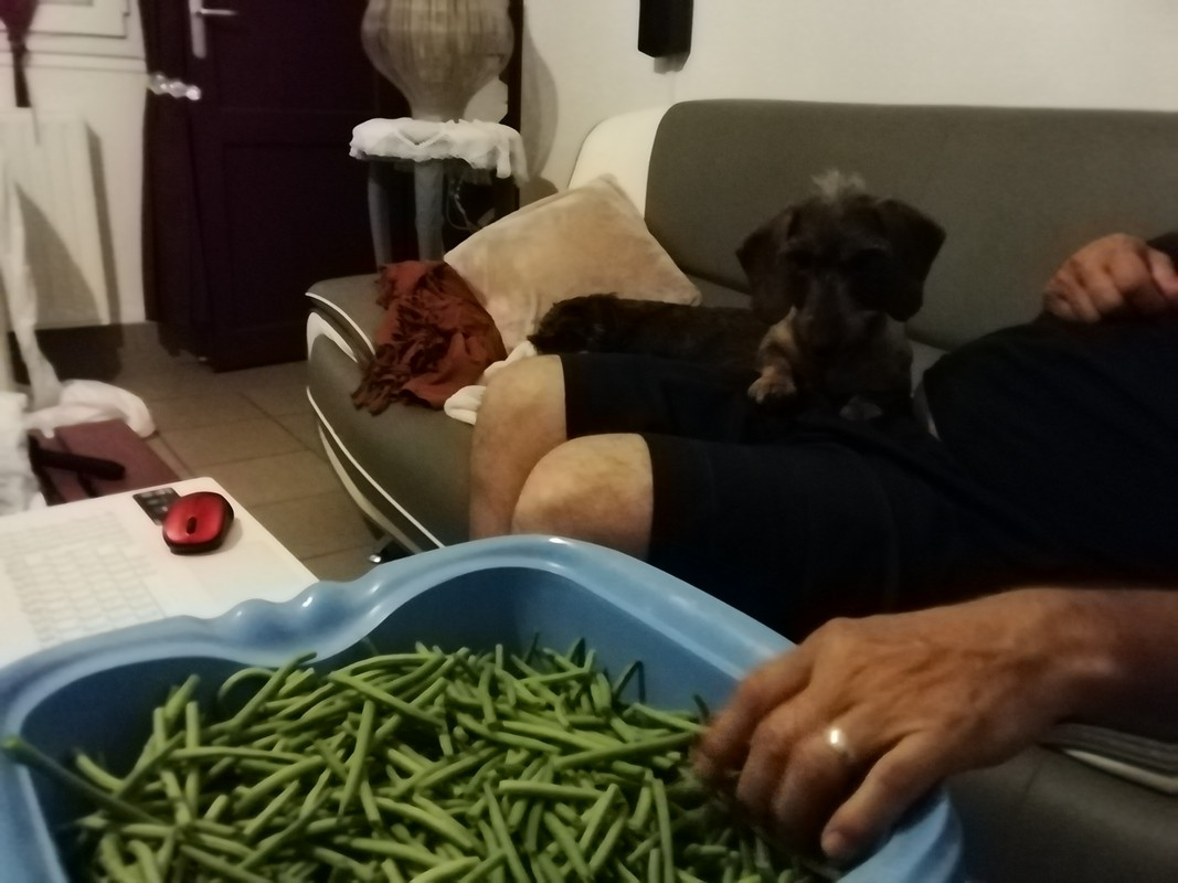 [Image: IMG-20200730-205517.jpg]