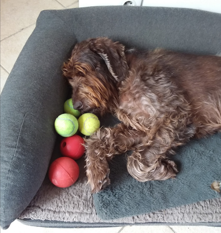 [Image: 20220711-172954.jpg]