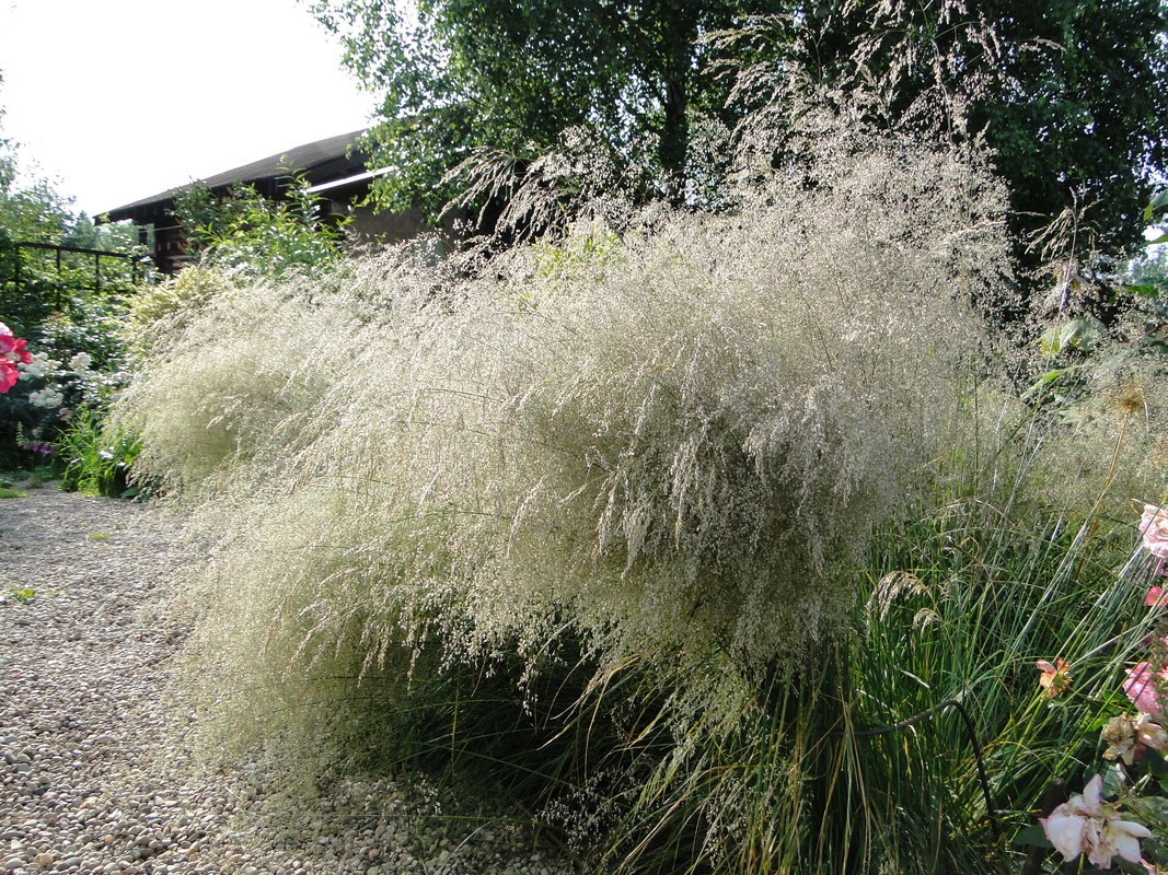 DSC08280