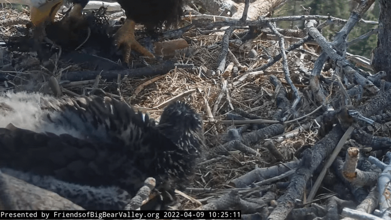 Webp.net-gifmaker (4)