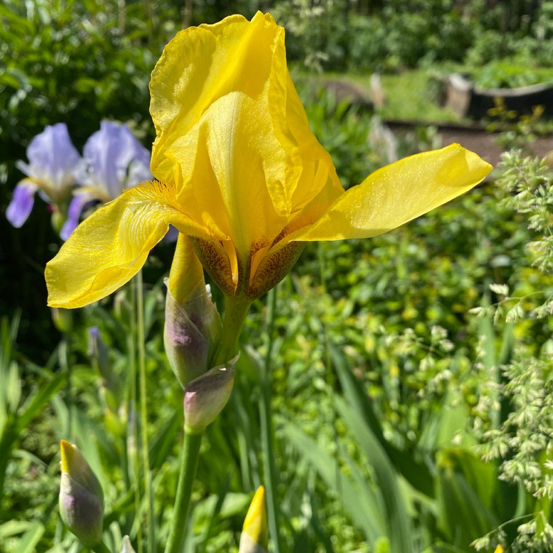 5EAA02CC-E279-4AE4-A27E-7688F26C967F