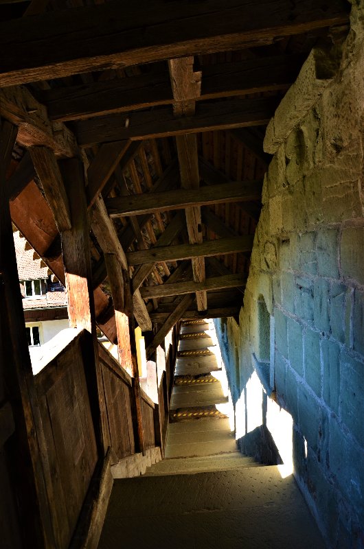 FRIBURGO-4-9-2019 - Suiza y sus pueblos-2019 (68)