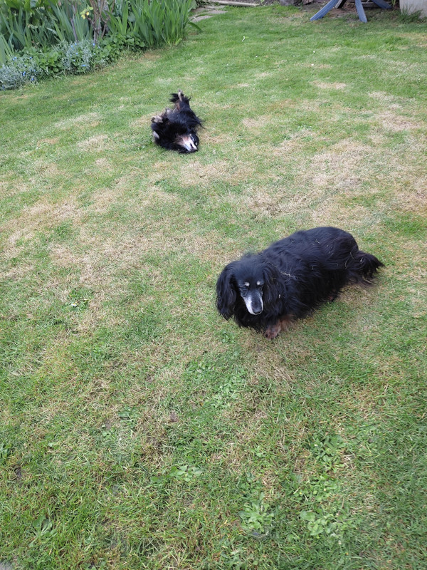 [Image: IMG-20220414-171927.jpg]