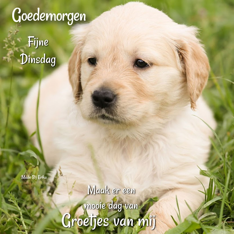 WELKOM OP MIJN BLOGJE HTML leren