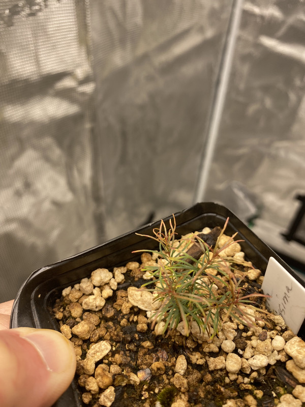 193ECE51-5D47-4069-BDFA-766E716EA15B