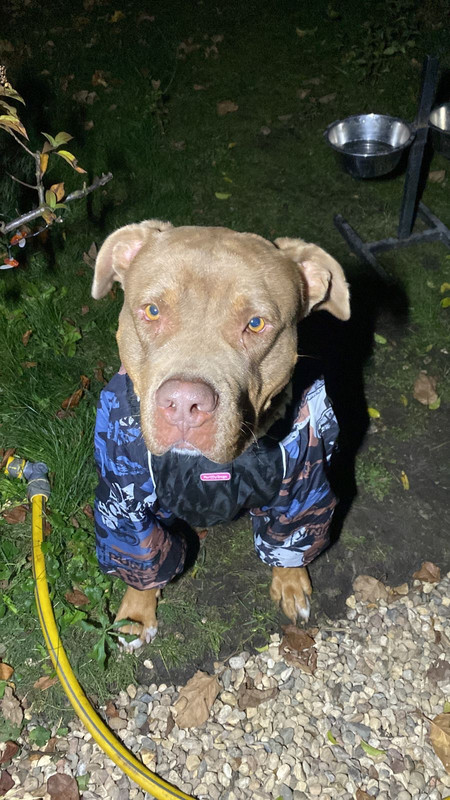 FE3908F7-EAEE-4C2B-8BE8-B8CED95D38E2